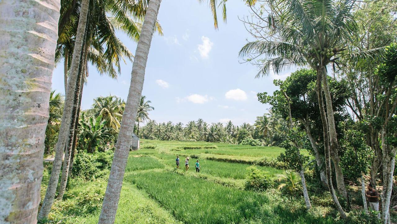 Tejaprana & Ubud (Bali)